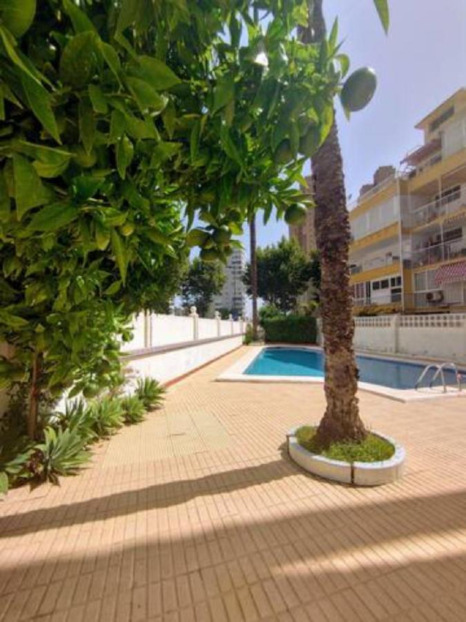 Benidorm Rocas One, Un Oasis A 100 Metros Del Mar Lejlighed Eksteriør billede